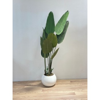 شجرة طائر الجنة الابيض لديكور داخلي راق (موز) 130سم 