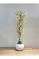 شجرة  بمركن ابيض صناعية طويلة مزهرة بأزهار صغيرة باللون الأبيض المائل إلى الكريمي 155سم 