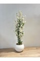 شجرة  بمركن ابيض صناعية طويلة مزهرة بأزهار صغيرة باللون الأبيض المائل إلى الكريمي143سم 