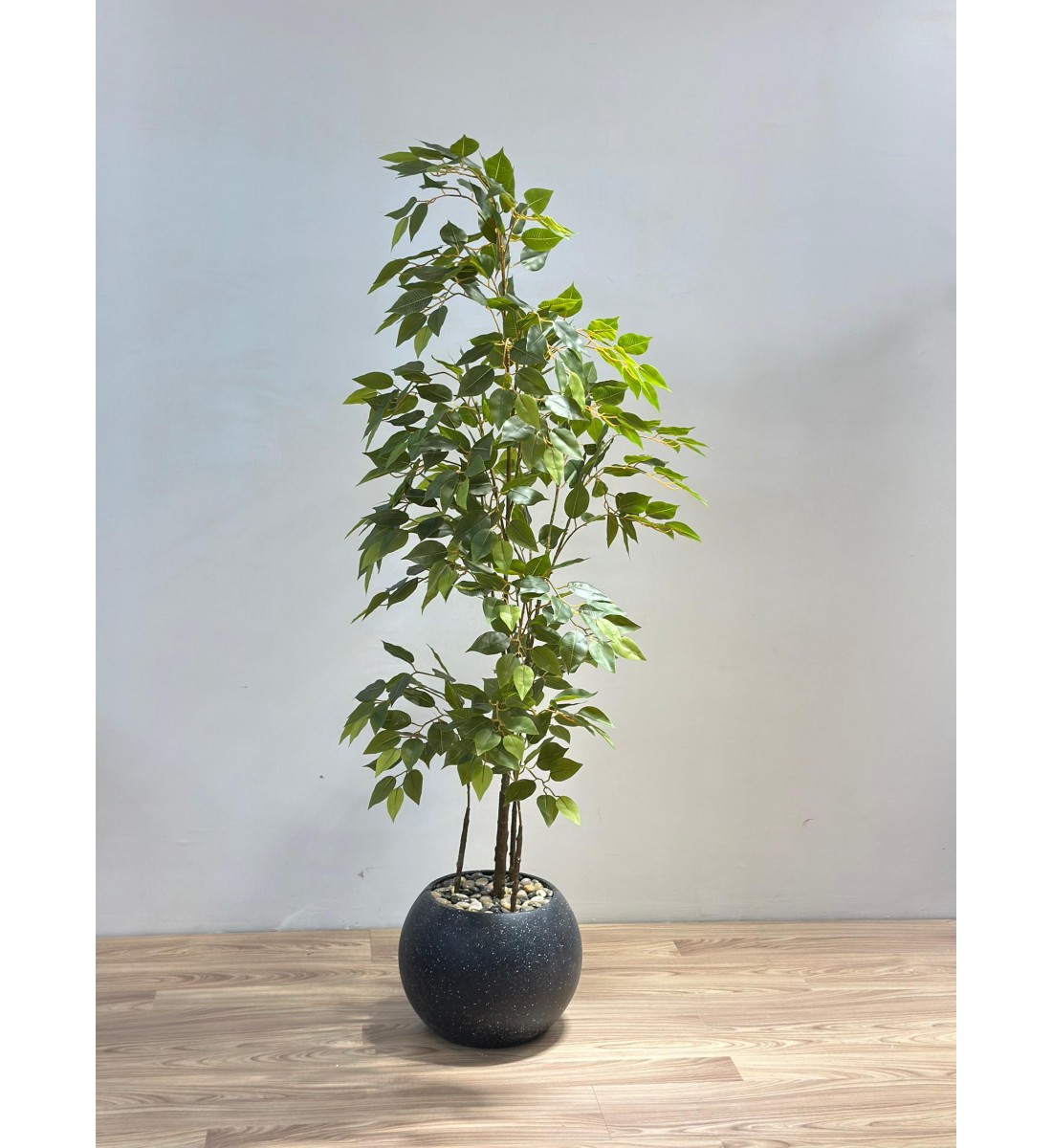 شجرة بمركن اسود يشبه الأشجار الحقيقية، تتميز بأوراق خضراء كثيفة متفاوتة الدرجات تعكس حيوية وانتعاش الطبيعة. 170سم شجرة بمركن اسود يشبه الأشجار الحقيقية، تتميز بأوراق خضراء كثيفة متفاوتة الدرجات تعكس حيوية وانتعاش الطبيعة. 170سم