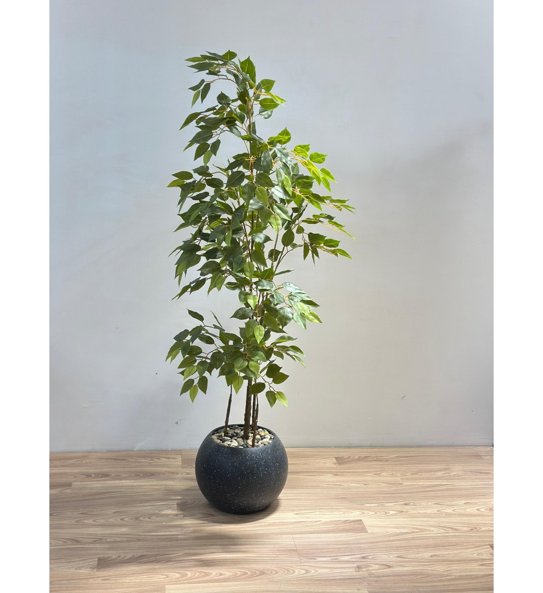 شجرة بمركن اسود يشبه الأشجار الحقيقية، تتميز بأوراق خضراء كثيفة متفاوتة الدرجات تعكس حيوية وانتعاش الطبيعة. 170سم شجرة بمركن اسود يشبه الأشجار الحقيقية، تتميز بأوراق خضراء كثيفة متفاوتة الدرجات تعكس حيوية وانتعاش الطبيعة. 170سم