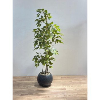 شجرة  بمركن اسود يشبه الأشجار الحقيقية، تتميز بأوراق خضراء كثيفة متفاوتة الدرجات تعكس حيوية وانتعاش الطبيعة. 170سم 