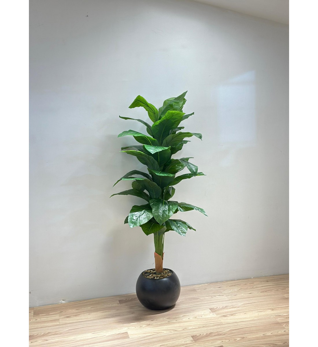 مركن شجر موز اسود تزيين صناعي شكل حديث 170سم مركن شجر موز اسود تزيين صناعي شكل حديث 170سم