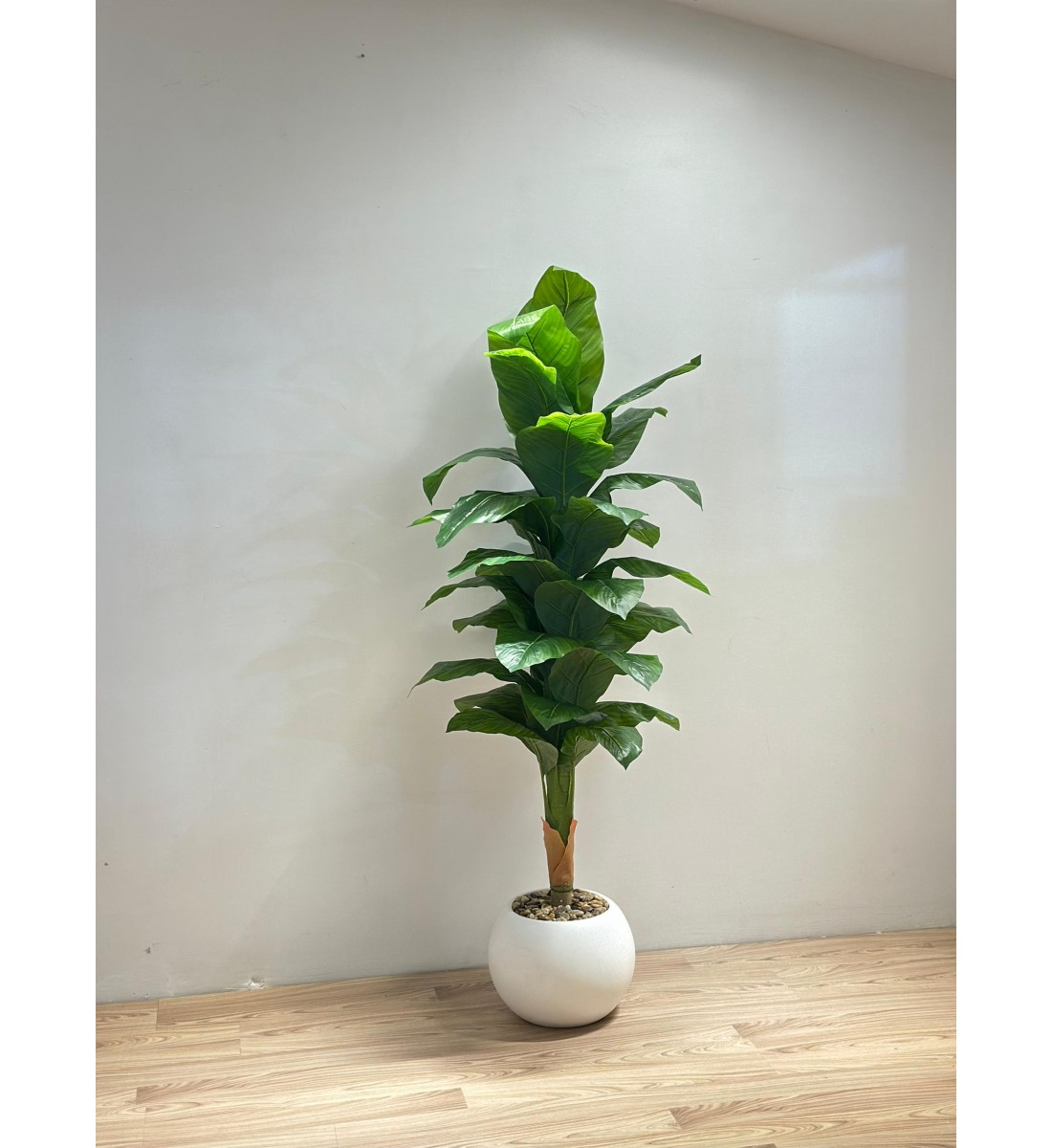 مركن شجر موز ابيض تزيين صناعي شكل حديث 170سم مركن شجر موز ابيض تزيين صناعي شكل حديث 170سم