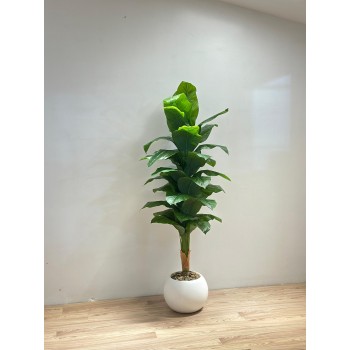 مركن شجر  موز ابيض تزيين صناعي  شكل حديث 170سم