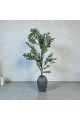 شجرة  بمركن صناعية طويلة مزهرة زيتون 160متر