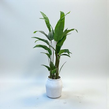 مركن شجر  موز ابيض تزيين صناعي  شكل حديث 185سم