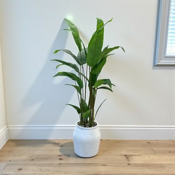 مركن شجر  موز ابيض تزيين صناعي  شكل حديث 185سم