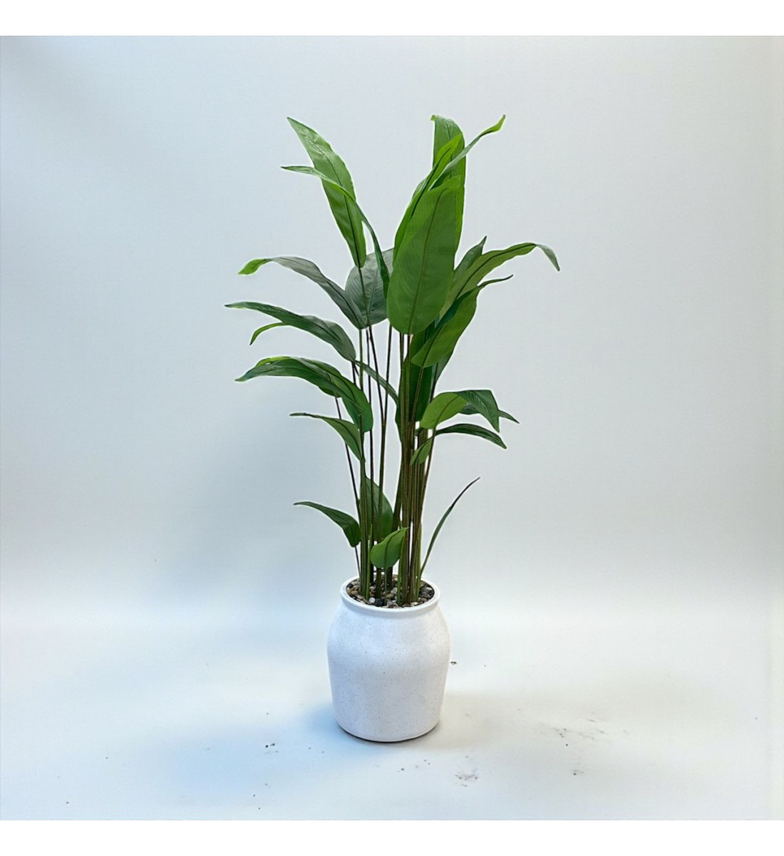 مركن شجر موز ابيض تزيين صناعي شكل حديث 185سم مركن شجر موز ابيض تزيين صناعي شكل حديث 185سم