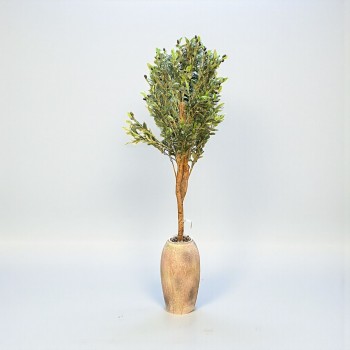 شجرة  بمركن صناعية طويلة مزهرة زيتون 180متر