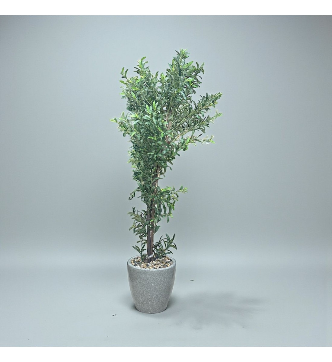 شجرة  بمركن صناعية طويلة مزهرة زيتون 2متر