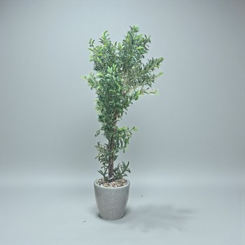 شجرة  بمركن صناعية طويلة مزهرة زيتون 2متر