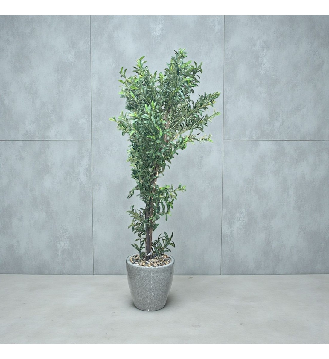 شجرة  بمركن صناعية طويلة مزهرة زيتون 2متر