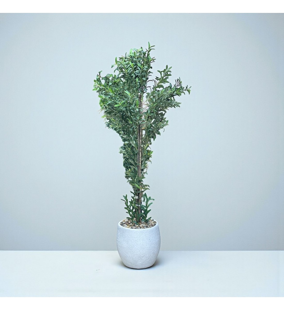 شجرة بمركن صناعية طويلة مزهرة زيتون 2.10متر شجرة بمركن صناعية طويلة مزهرة زيتون 2.10متر