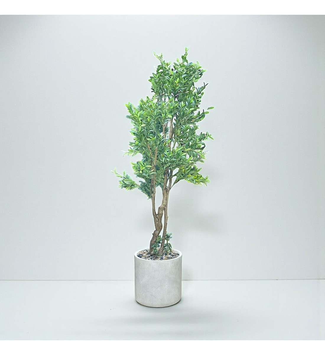 شجرة  بمركن صناعية طويلة مزهرة زيتون 2.10متر