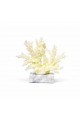 قطعة ديكور مستوحاة من جمال الشعاب المرجانية بتصميم أنيق يضفي إحساسًا بالطبيعة والهدوء33×33×8سم 