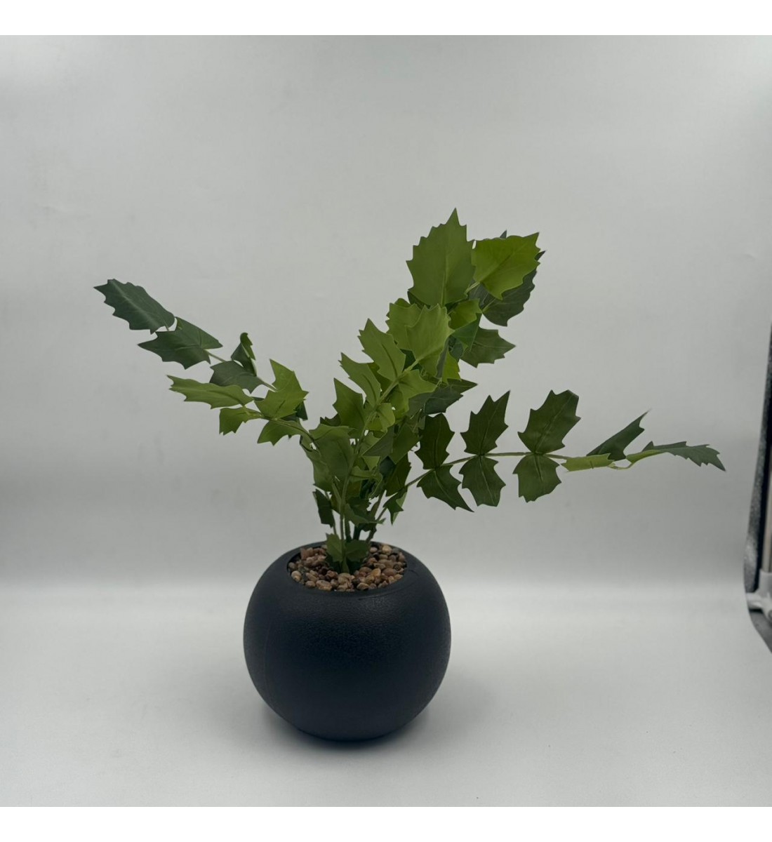 نبتة ديكور أنيقة بتصميم عصري بسيط، تأتي في وعاء دائري 50سم 