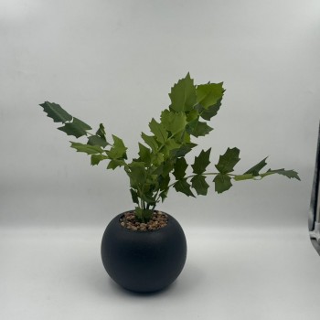 نبتة ديكور أنيقة بتصميم عصري بسيط، تأتي في وعاء دائري 50سم 