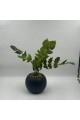 نبتة ديكور أنيقة بتصميم عصري بسيط، تأتي في وعاء دائري 50سم 