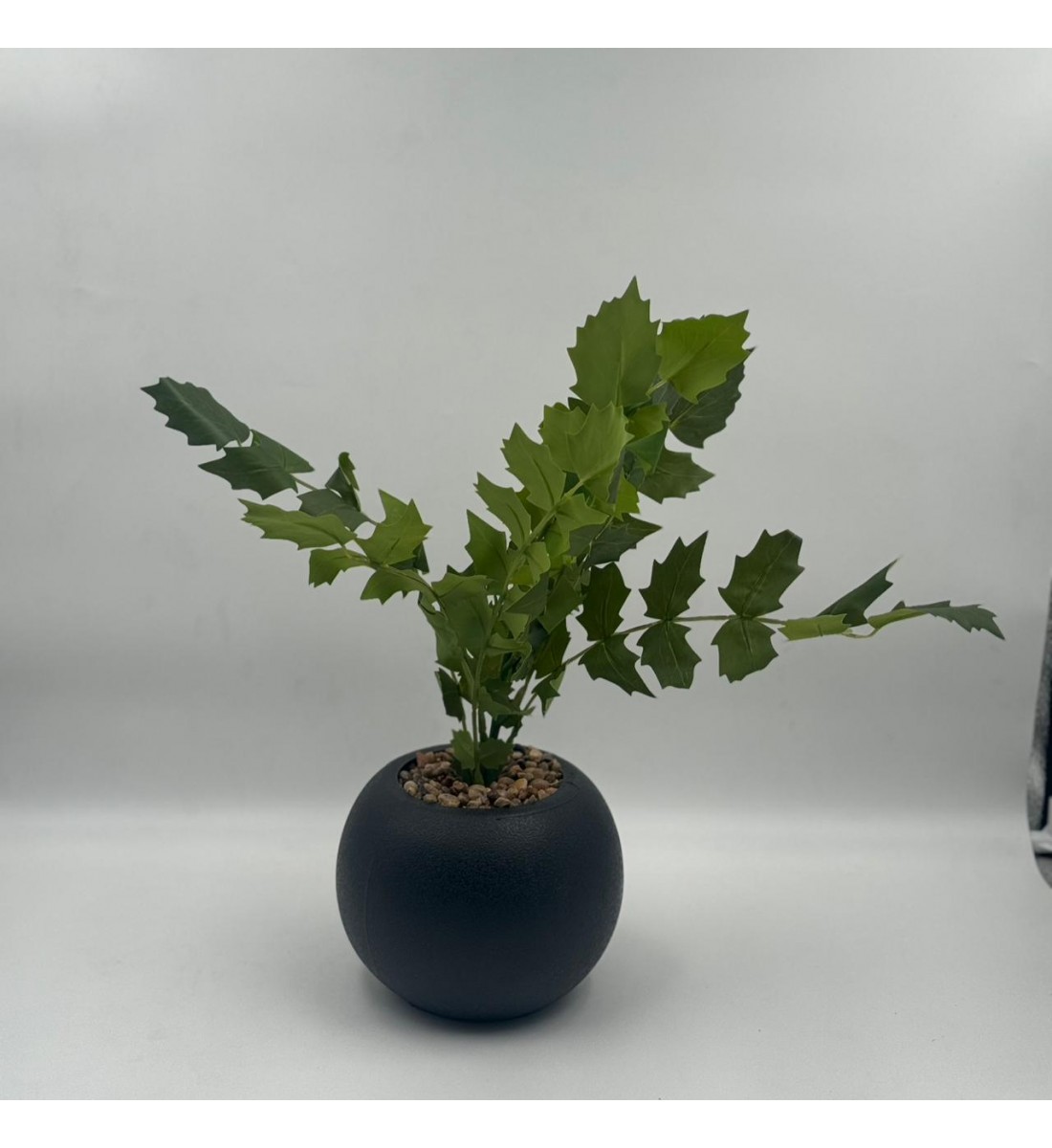 نبتة ديكور أنيقة بتصميم عصري بسيط، تأتي في وعاء دائري 50سم 