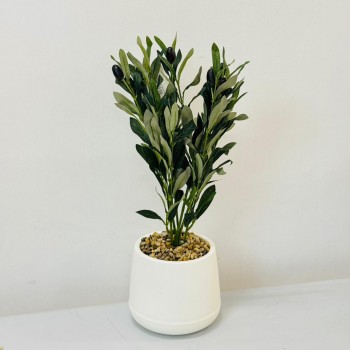 نبتة ديكور أنيقة بتصميم عصري بسيط، تأتي في وعاء دائري 50سم 