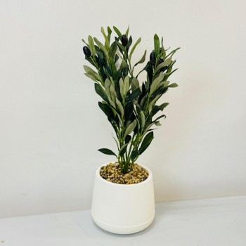 نبتة ديكور أنيقة بتصميم عصري بسيط، تأتي في وعاء دائري 50سم 