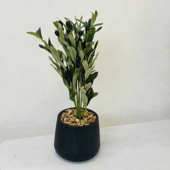 نبتة ديكور أنيقة بتصميم عصري بسيط، تأتي في وعاء دائري 50سم 