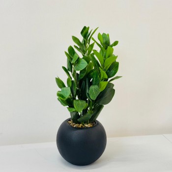 نبتة ديكور أنيقة بتصميم عصري بسيط، تأتي في وعاء دائري 50سم 