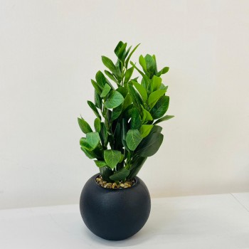 نبتة ديكور أنيقة بتصميم عصري بسيط، تأتي في وعاء دائري 50سم 