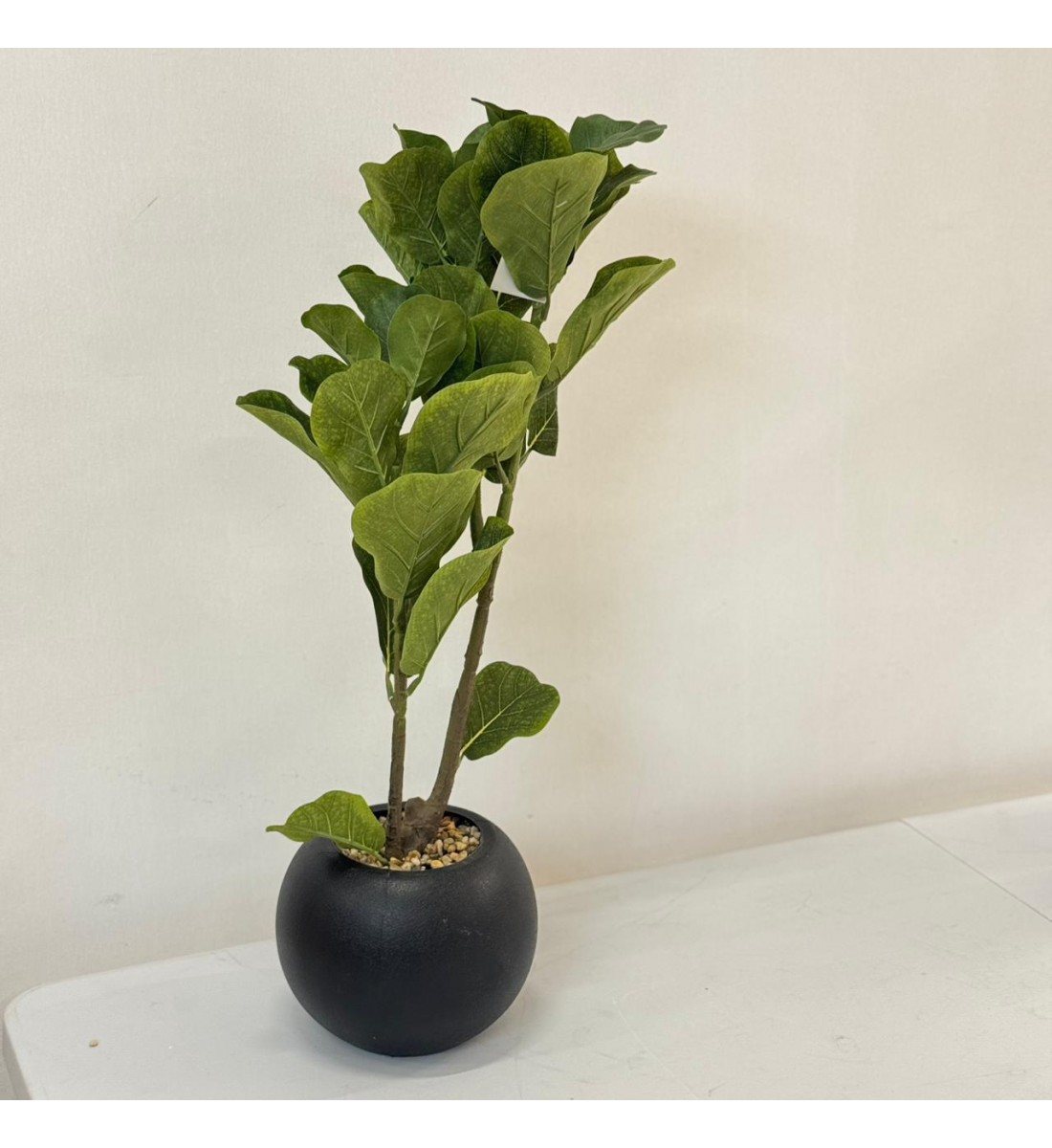 نبتة ديكور أنيقة بتصميم عصري بسيط، تأتي في وعاء دائري اسود  62 سم 