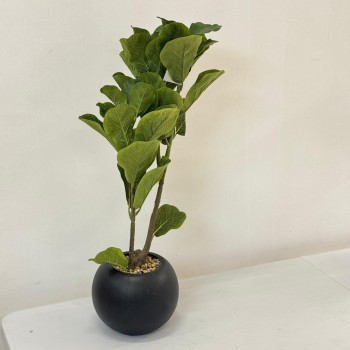 نبتة ديكور أنيقة بتصميم عصري بسيط، تأتي في وعاء دائري اسود  62 سم 