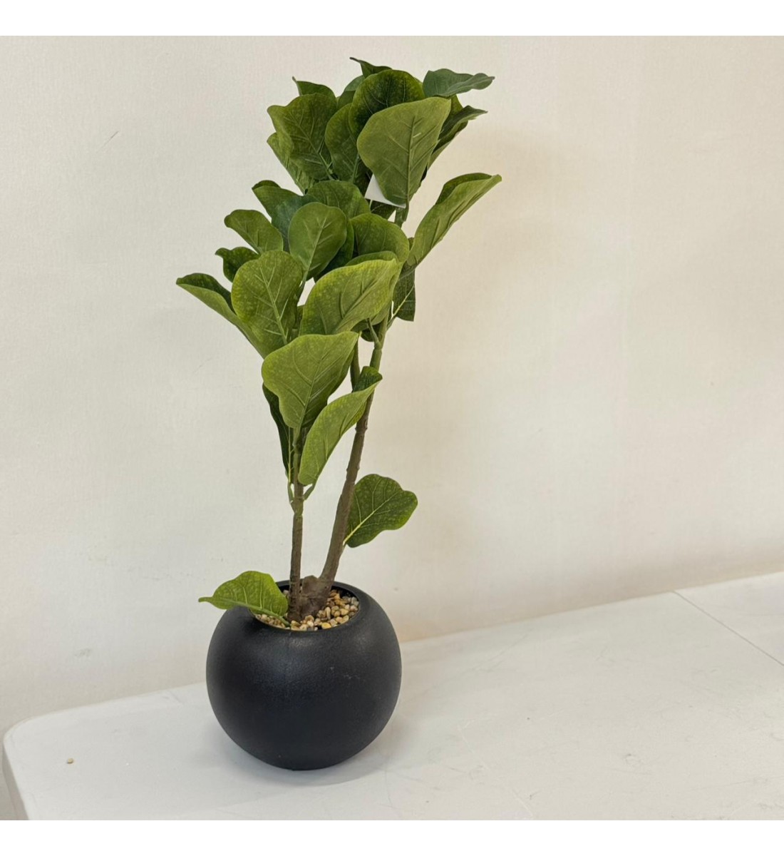 نبتة ديكور أنيقة بتصميم عصري بسيط، تأتي في وعاء دائري اسود  62 سم 