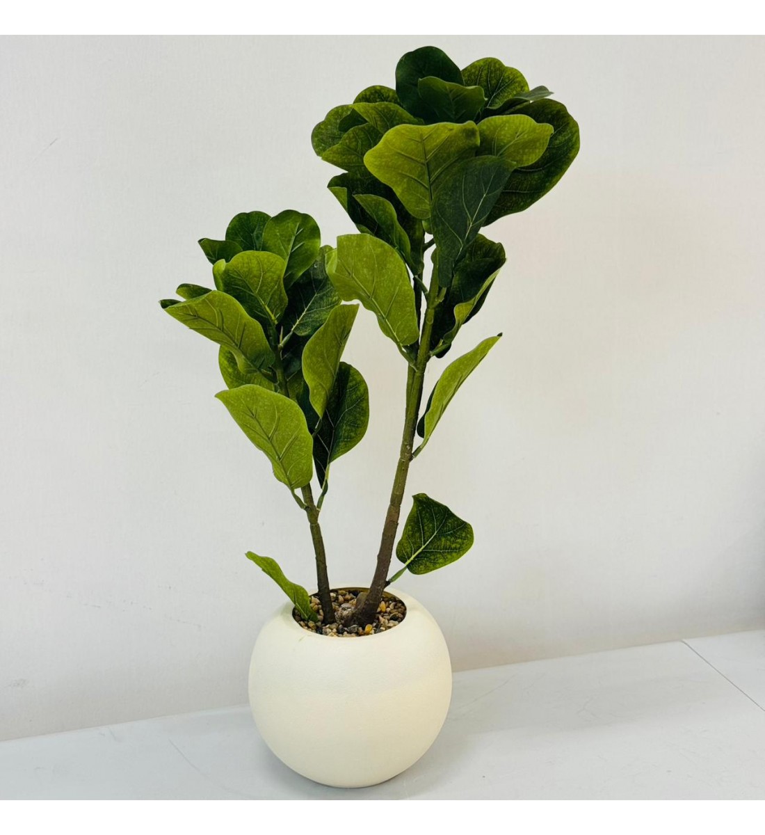 نبتة ديكور أنيقة بتصميم عصري بسيط، تأتي في وعاء دائري ابيض 62 سم نبتة ديكور أنيقة بتصميم عصري بسيط، تأتي في وعاء دائري ابيض 62 سم