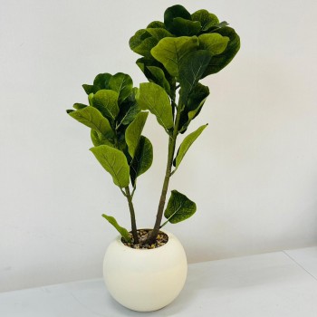 نبتة ديكور أنيقة بتصميم عصري بسيط، تأتي في وعاء دائري ابيض 62 سم 