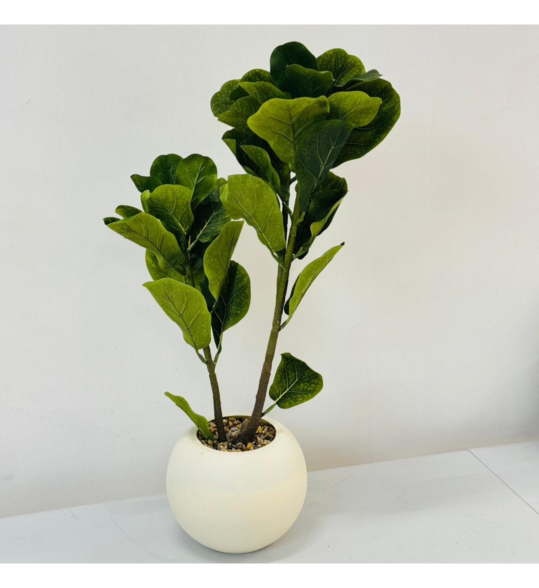 نبتة ديكور أنيقة بتصميم عصري بسيط، تأتي في وعاء دائري ابيض 62 سم نبتة ديكور أنيقة بتصميم عصري بسيط، تأتي في وعاء دائري ابيض 62 سم