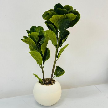 نبتة ديكور أنيقة بتصميم عصري بسيط، تأتي في وعاء دائري ابيض 62 سم 