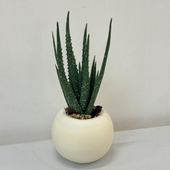 نبتة ديكور أنيقة بتصميم عصري بسيط، تأتي في وعاء دائري ابيض 40سم 