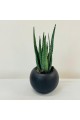 نبتة ديكور أنيقة بتصميم عصري بسيط، تأتي في وعاء دائري اسود 40سم 