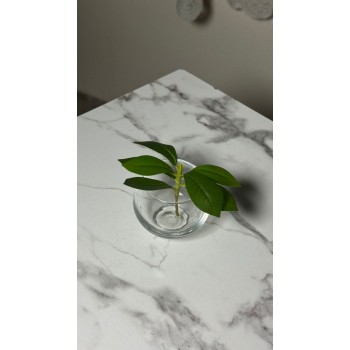 تنسيقاً بسيطاً وأنيقاً يجمع بين الورد بفازة زجاج 