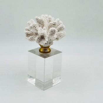 قطعة ديكور أنيقة بتصميم مرجاني 20×7×7سم 