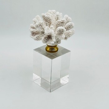 قطعة ديكور أنيقة بتصميم مرجاني 20×7×7سم 