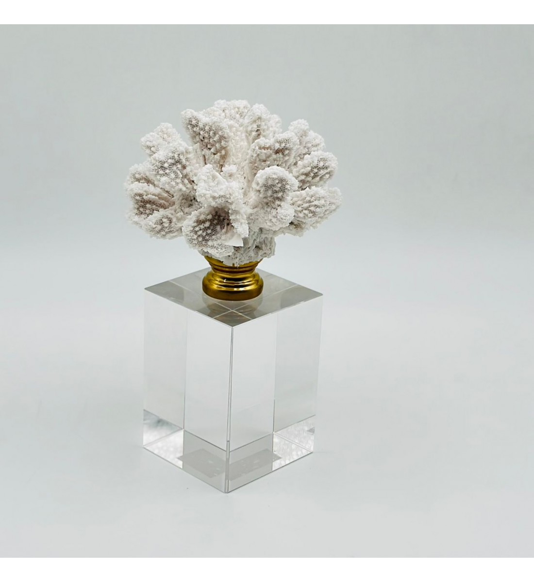 قطعة ديكور أنيقة بتصميم مرجاني 20×7×7سم 