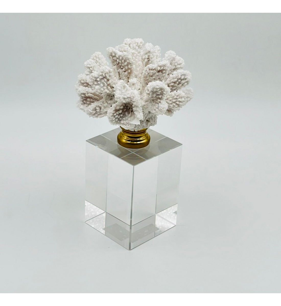 قطعة ديكور أنيقة بتصميم مرجاني 20×7×7سم 