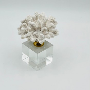 قطعة ديكور أنيقة بتصميم مرجاني  18×7×7سم 