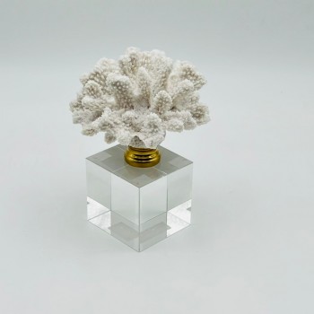 قطعة ديكور أنيقة بتصميم مرجاني  18×7×7سم 