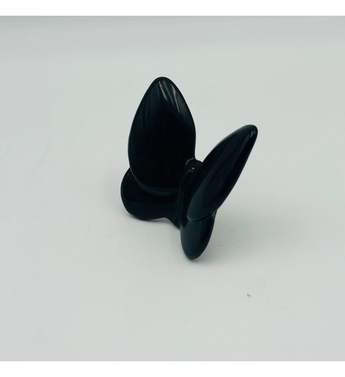 فراشة زجاج لون اسود