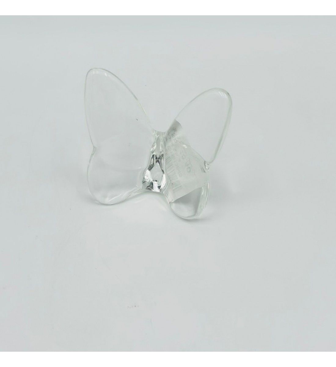 فراشة زجاج لون شفاف 