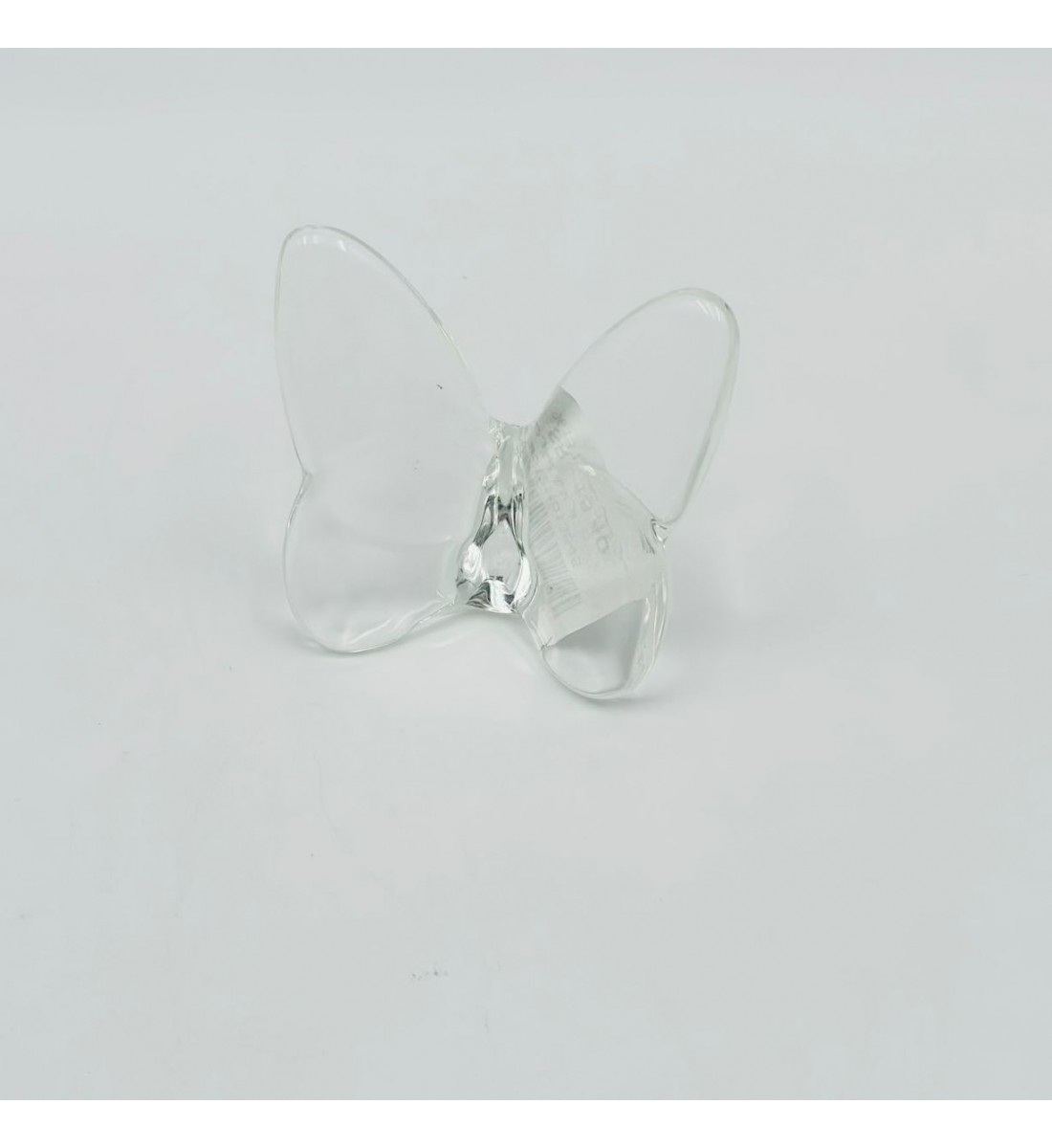 فراشة زجاج لون شفاف 