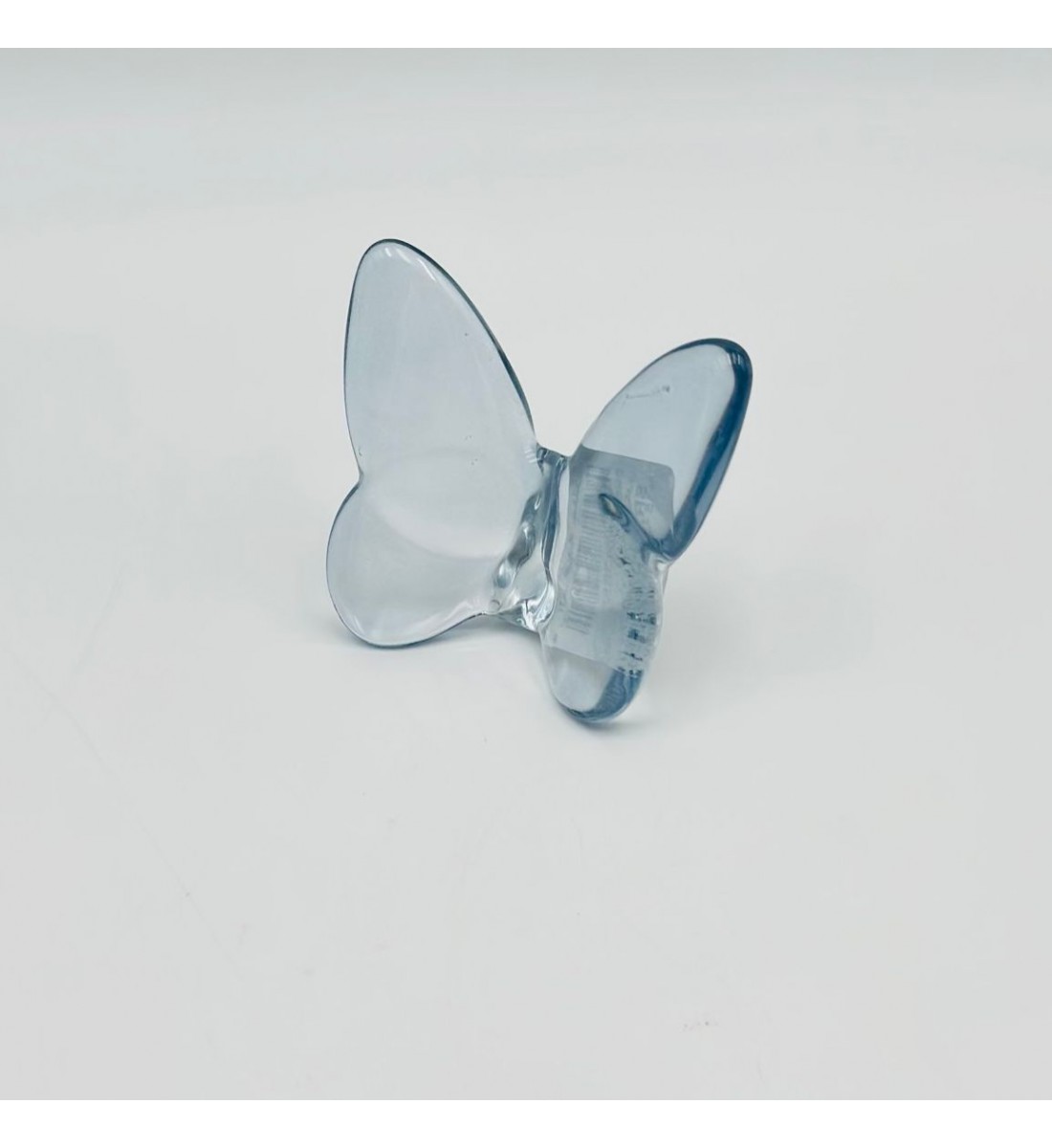 فراشة زجاج لون سماوي 