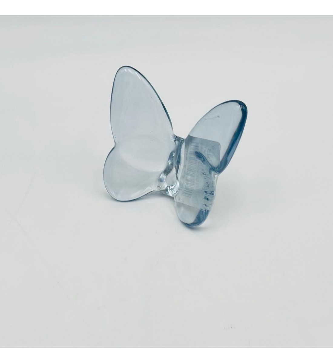 فراشة زجاج لون سماوي 